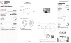 certificato goccia igi lg66543131