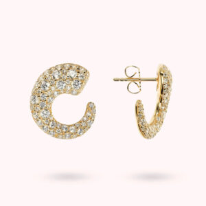 Orecchini Lobo Golden Semicerchio Graduato in Pavé Misto WSBZ02444Y.WR-2